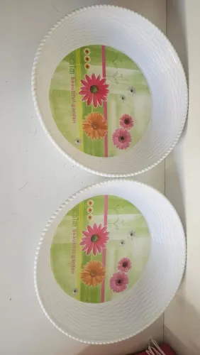 2 vasilhas plásticas