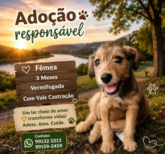 Adoção responsável 