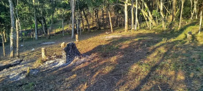 TERRENO NO BAIRRO DA LAGOA 1500 M²