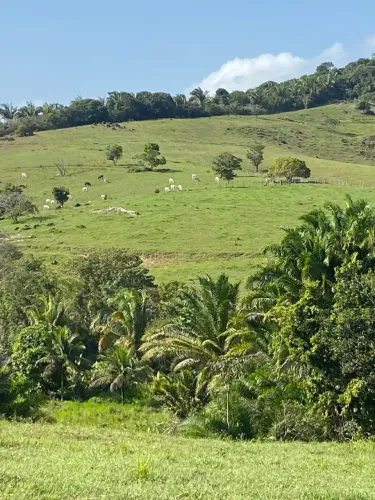 Fazenda para venda tem 400000 metros quadrados rural - São Luís do Quitunde - AL