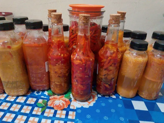 Pimentas caseiras da Rosana