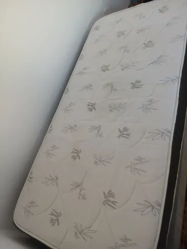 Cama