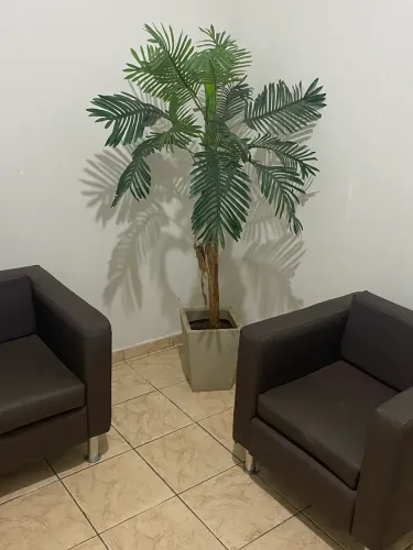 Poltronas Novas que consultório
