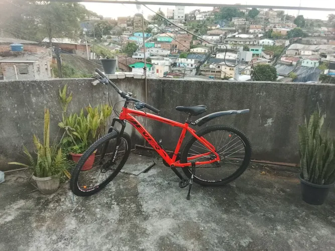 Aro 29 boa