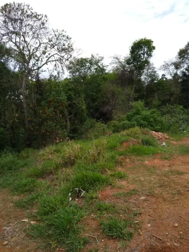 Terreno para Venda em Piedade, Jurupara