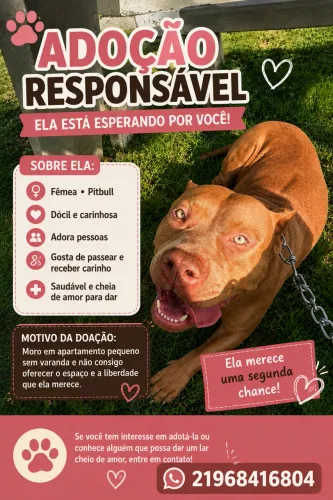 ADOÇÃO RESPONSÁVEL