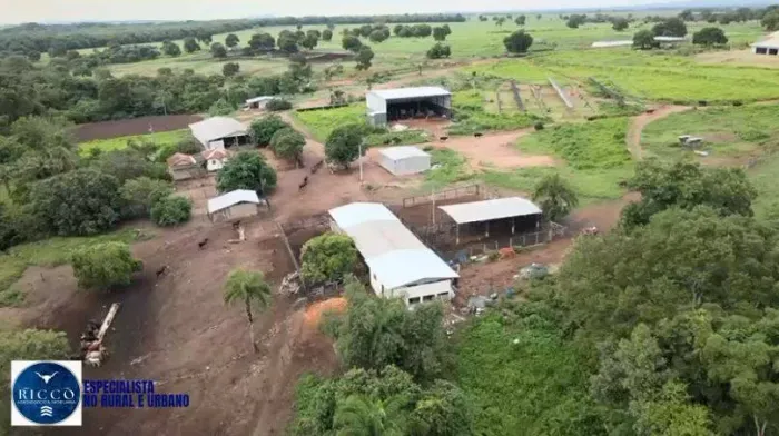 Fazenda à Venda em Goiás | 102 alqueires | Região de Piranhas (GO)