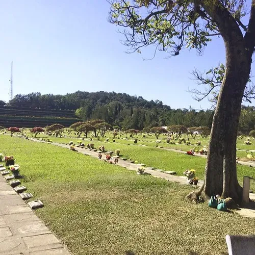 Jazigo perpétuo - Horto Forestal ZN SP