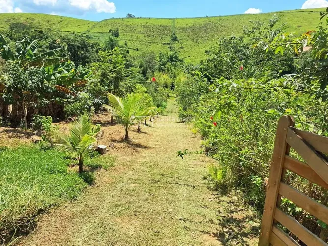 SÍTIO COM FRUTAS PLATÔ PRONTO  MORADIA/LAZER  LORENA  SP