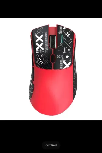 Mouse r1