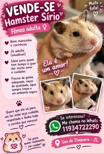 Hamster fêmea para venda