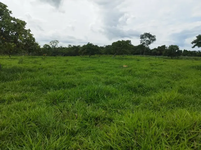 chácara disponível para venda em São Miguel do Passa Quatro Goiás