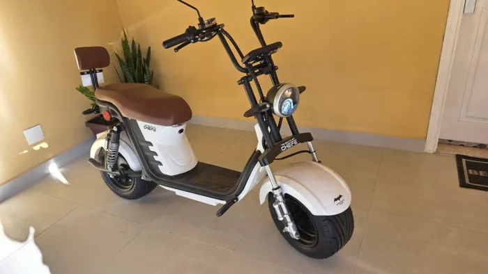 Moto Elétrica Green Energy X12 1000W