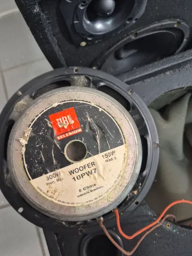 Woofer JBL Selenium 10PW7 (10 polegadas, 150W RMS e 8 Ohms)