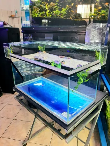 Aquaterrario para tartarugas 