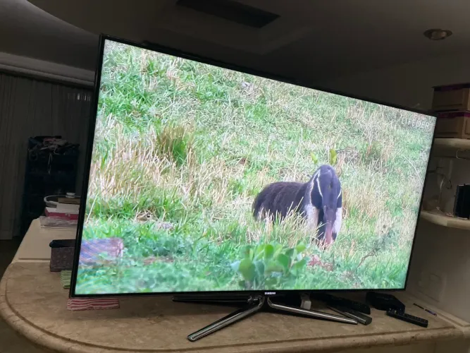 Televisão Samsung 55 polegadas