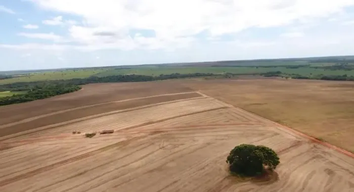 Fazenda de arrendamento Soja, 670 hec em nova alvorada MS.