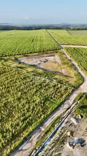 Excelente Área na zona Rural de Pilar em Alagoas