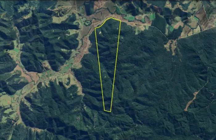 VENDA ÁREA DE FLORESTA NATIVA 190HA (MATA ATLÂNTICA) COMPENSAÇÃO DE RESERVA LEGAL