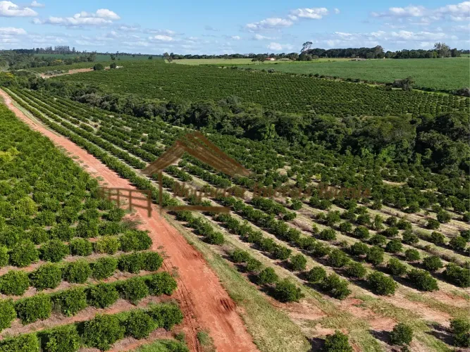 Fazenda com 197 alqueires na região de Avaré-SP