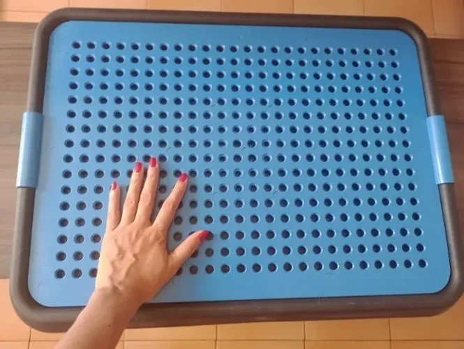 Sanitário para Cachorros, Sanitário Higiênico para Cães, Xixi Dog, sanitário canino Azu