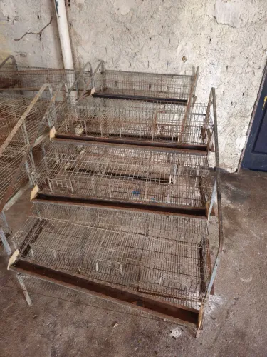 Gaiolas para Codornas
