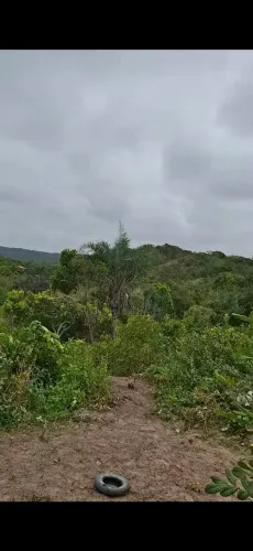 TERRENOS EM LAGOA REDONDA
