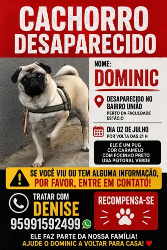 Cachorro perdido, GRATIFICA-Se
