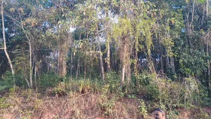Imóvel para venda em Rio Acima