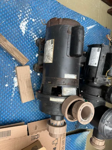 Bomba WEG Hidromassagem 2cv 220V