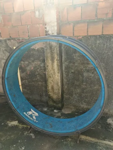 Roda para gatos
