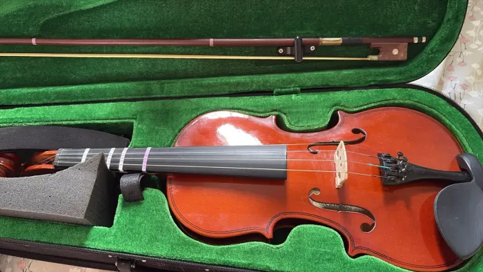 Violino Giannini