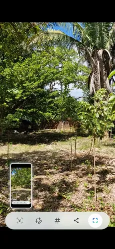 sitio de 14.280m2 Mocajituba