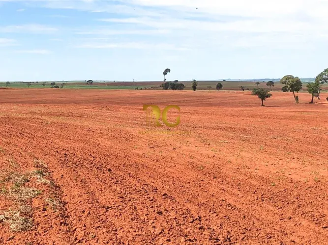 FAZENDA PRODUTIVA À VENDA NA REGIAO DE DRACENA/SP