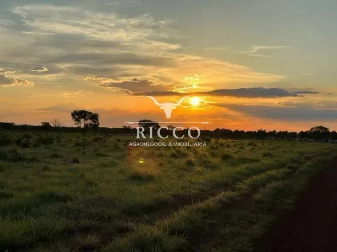 Fazenda à Venda Próxima a Nova Crixás - GO | 74 Alqueires | Boa de Água