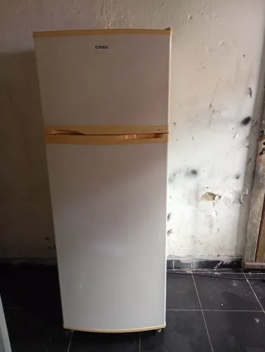 Geladeira Frost Free voltg100