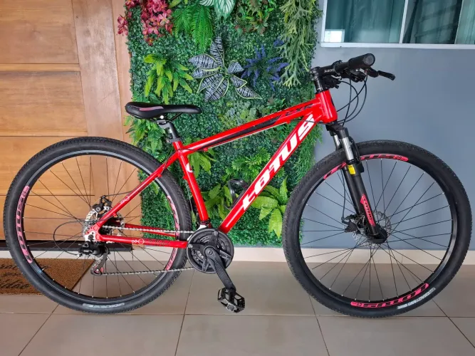 Bicicleta Lotus CXR Aro 29