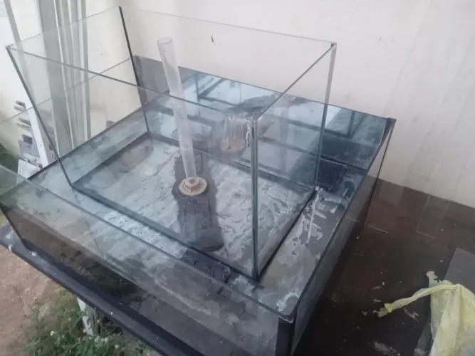 Aquário de 60 litros com borda infinita bom para deixar seu ambiente bonito