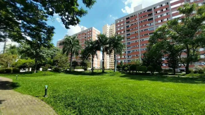 apartamento - Vila Marieta - Campinas