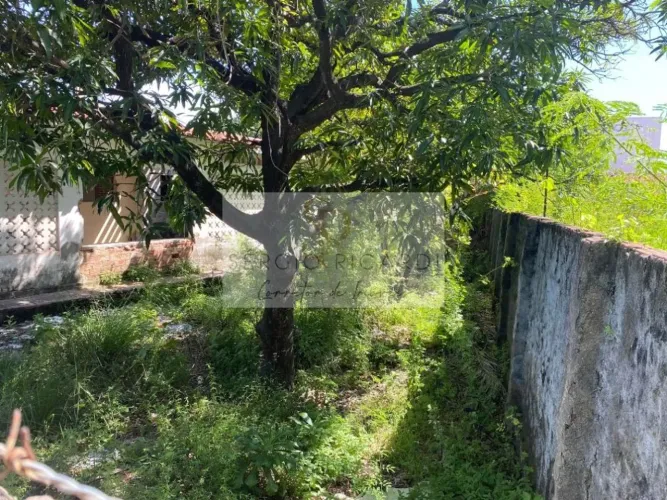 Terreno Camalau ( cabedelo )