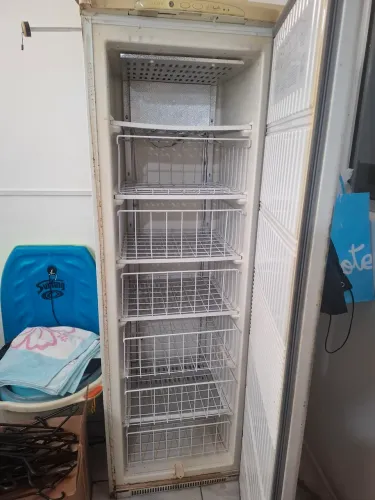 Freezer vertical 
