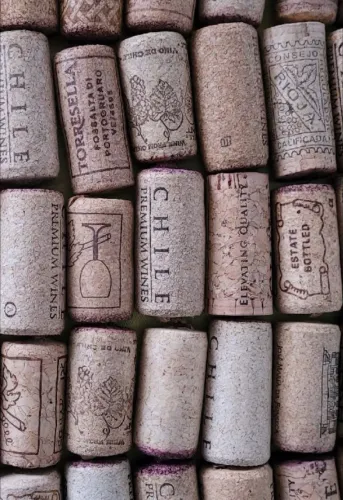 Rolhas de vinho 100un