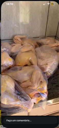 Frango e galinha caipira 