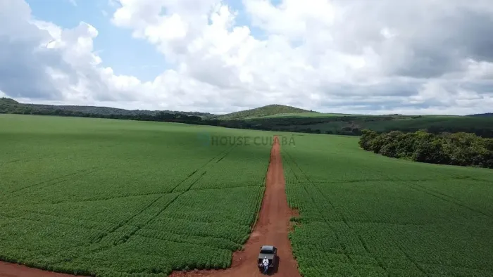 FAZENDA DE AGRICULTURA PRIMAVERA DO LESTE / MT