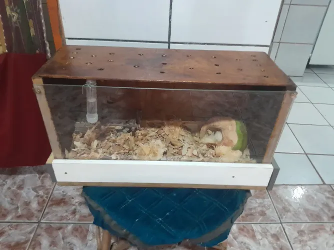 Terrario completo
