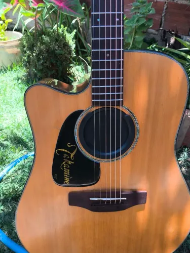 Takamine
