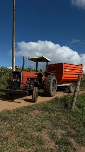 Trator Massey Ferguson 265