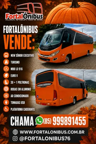 New Sênior - Abobrinha 