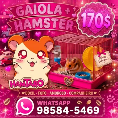Gaiola + Hamster , peça já o seu !