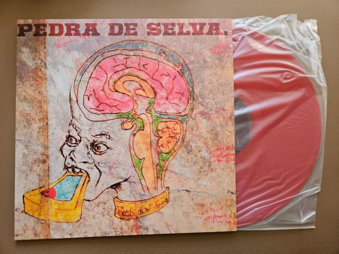 Pedra de Selva - Curumin Disco de Vinil Noize Record Club